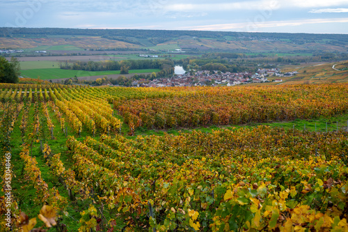 Panoramic autuimn view on champagne vineyards in village Hautvillers near Epernay, Champange, France