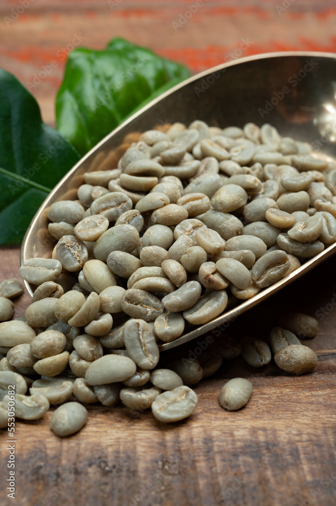 Green coffee beans from South America coffee producing region, from Colombia and Brazil with mountain ranges and climate ideal for coffee growing Green coffee beans from South America coffee producing region, from Colombia and Brazil with mountain ranges and climate ideal for coffee growing