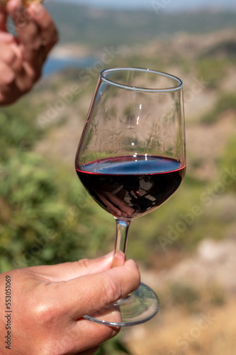 Tasting of red wine on vineyards of Cyprus. Wine production on Cyprus, tourists wine route.