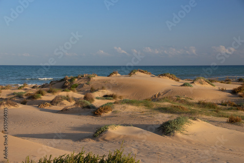 Vega Baja del Segura - Guardamar - Las dunas y pinada de Guardamar, un paisaje de desierto junto al mar Mediterráneo.