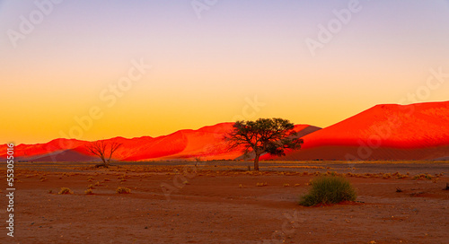 sunrise in the desert with colourful sand dunes in the namib desert in Namibia