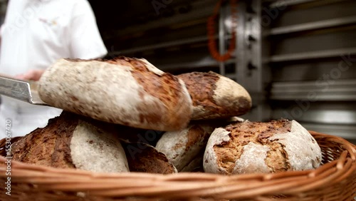 Bäcker holt mit Schieber frisch gebackenes Brot aus dem Ofen und schüttet es in Korb photo