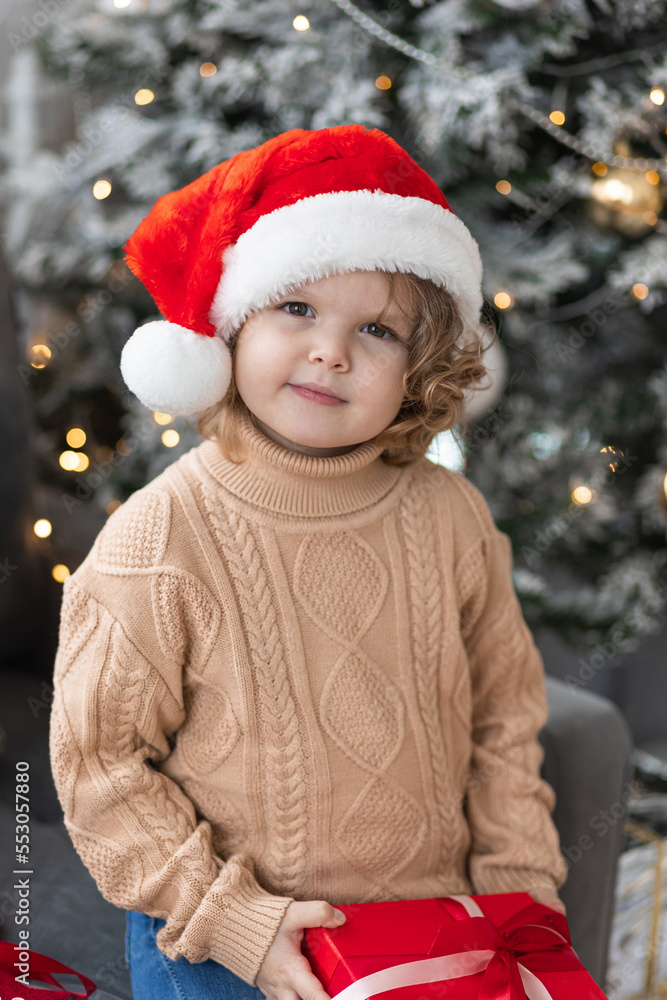 Portrait of a cute little girl in a beautiful knitted sweater ad a red Santa hat near decorated Christmas and new year tree at home. Smiling, cheerful and happy, holding red gift box Portrait of a cute little girl in a beautiful knitted sweater ad a red Santa hat near decorated Christmas and new year tree at home. Smiling, cheerful and happy, holding red gift box