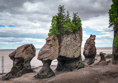 Hopewell Rocks at Muddy Low Tide photo