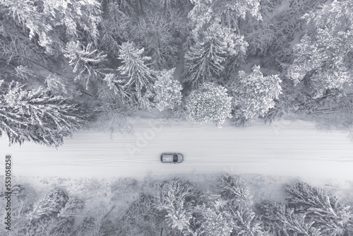 A car in a beautiful winter snow-white forest. Topic of motor transport and mobility