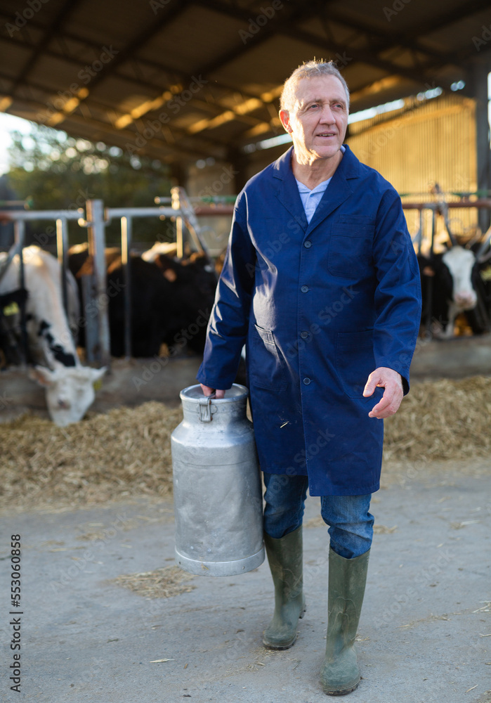 Elderly male owner with milk can standing in stall on background with herd of cows on farm
