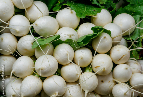White Radishes with green leaves