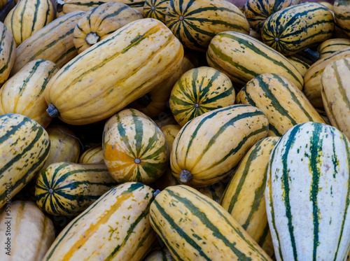 Striped Yellow Squash