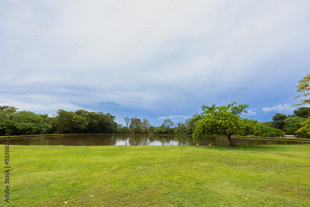 beautiful view of the lawn with lake and trees