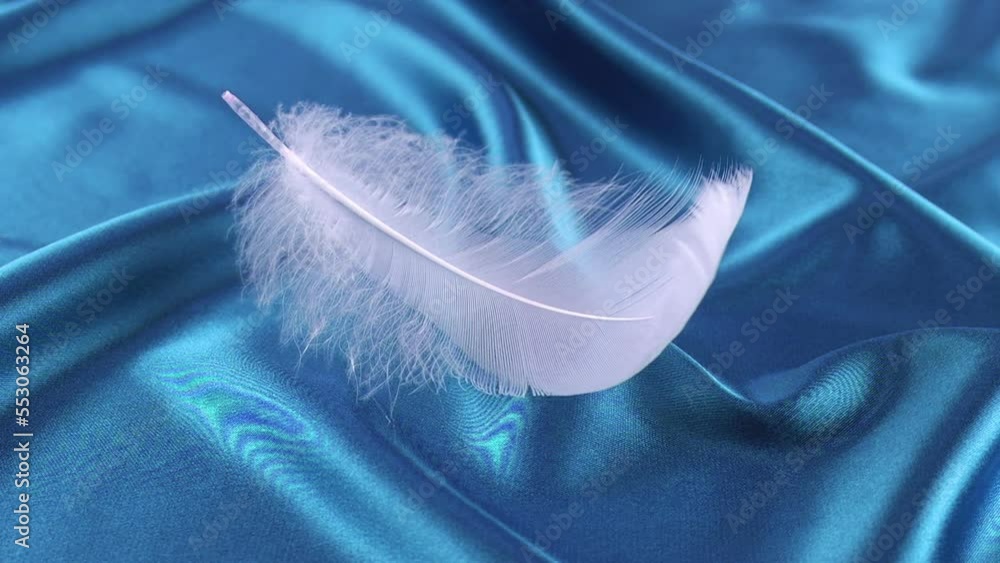 White swan feathers fall on royal blue silk. Slow motion.
