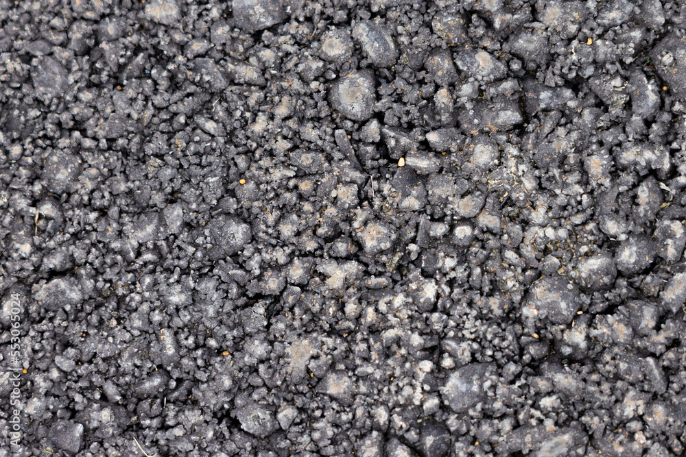 Surface grunge rough of asphalt, Seamless tarmac dark grey grainy road, Texture Background, Top view Surface grunge rough of asphalt, Seamless tarmac dark grey grainy road, Texture Background, Top view
