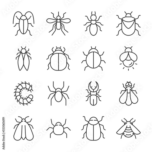 Bugs icons set. Insect, linear icon collection. Various bugs with wings and legs. Line with editable stroke