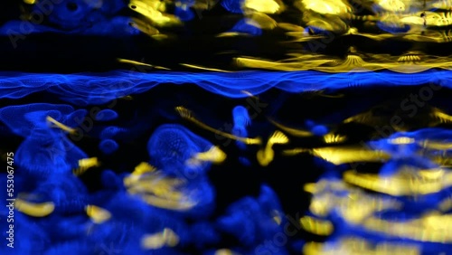 Awesome bg with magic particles float in liquid, light rays like laser show, light effects and bokeh, DOF. Glowing multi-colored particles circle underwater forming cloud. Luma matte as alpha channel.