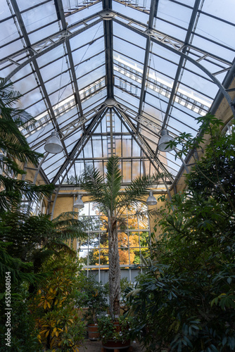 Plants in the Hortus Botanicus greenhouse, nature from around the world
