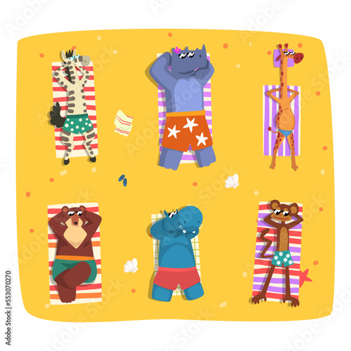 Animals Sunbathing on Beach Lying on Blanket on Sand Top View Vector Set