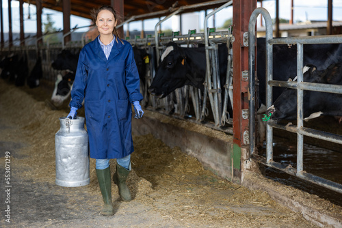 Positive young female dairy farm worker in blue work coat carrying aluminum can of milk in cowshed while walking along stall with Holstein cows