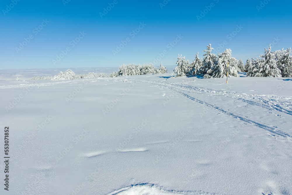 Winter landscape of Vitosha Mountain, Bulgaria Winter landscape of Vitosha Mountain, Bulgaria