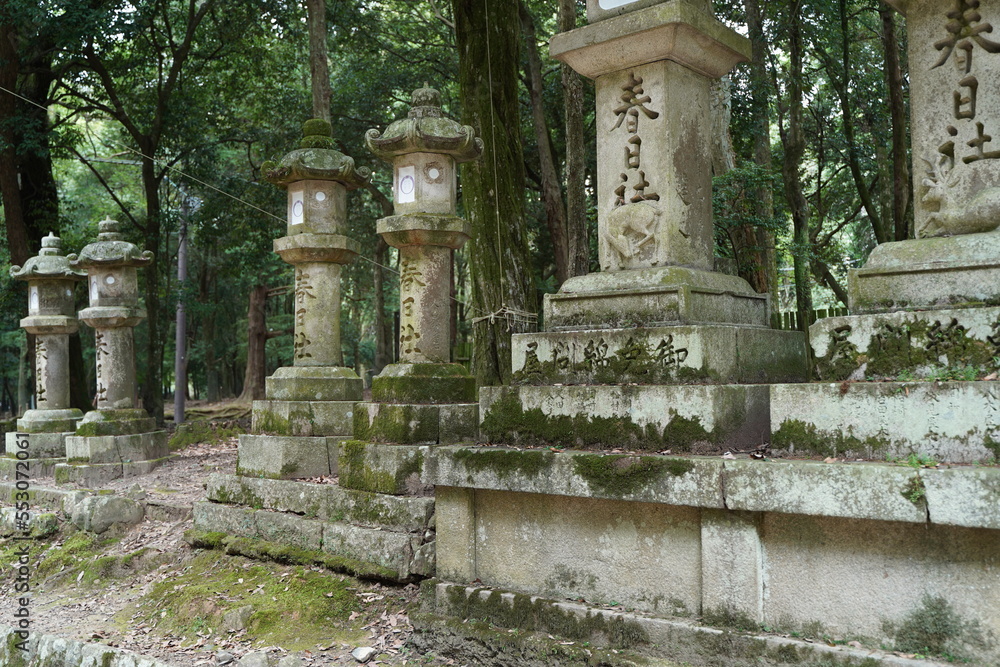 鹿、奈良の鹿、バンビ、沢山の鹿、動物、放し飼い、神の使い、奈良公園、春日大社、かすが、神社、境内、道、参道、シカ、しか、観光地、鹿せんべい、餌付け、エサ、大群、可愛い、観光、春日大社、かすがたいしゃ、Kasugataisha、Shrine、奈良、奈良県、神社、式内社、名神大社、春日社、ユネスコ、世界遺産、古都奈良の文化財、奈良時代、白鹿、鹿、アウトドア、旅行、参拝、神聖、厳粛、歴史、石、参道、日本 鹿、奈良の鹿、バンビ、沢山の鹿、動物、放し飼い、神の使い、奈良公園、春日大社、かすが、神社、境内、道、参道、シカ、しか、観光地、鹿せんべい、餌付け、エサ、大群、可愛い、観光、春日大社、かすがたいしゃ、Kasugataisha、Shrine、奈良、奈良県、神社、式内社、名神大社、春日社、ユネスコ、世界遺産、古都奈良の文化財、奈良時代、白鹿、鹿、アウトドア、旅行、参拝、神聖、厳粛、歴史、石、参道、日本