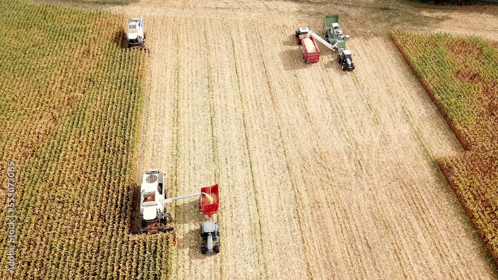 two Maize chopper, forage harvester, tractors and more agricultural machines harvesting maize on a field, agriculture from a bird's eye view	