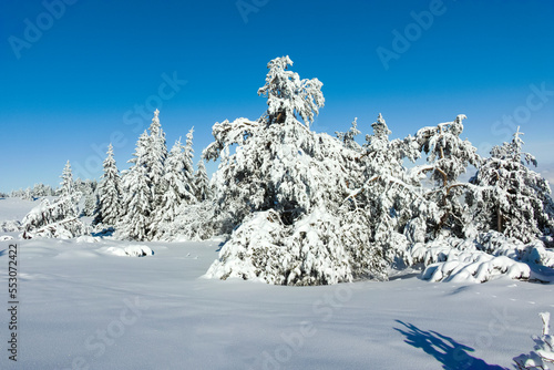 Wallpaper Mural Winter landscape of Vitosha Mountain, Bulgaria Torontodigital.ca