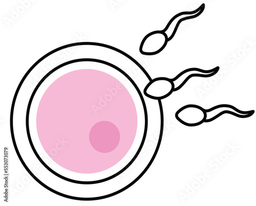 fertilization icon, vector illustration of fertilisation
