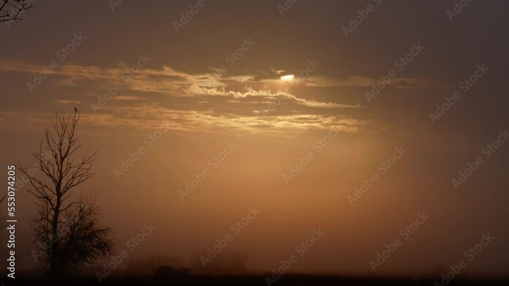Sunrise / Sunset over a forest landscape Sunrise / Sunset over a forest landscape