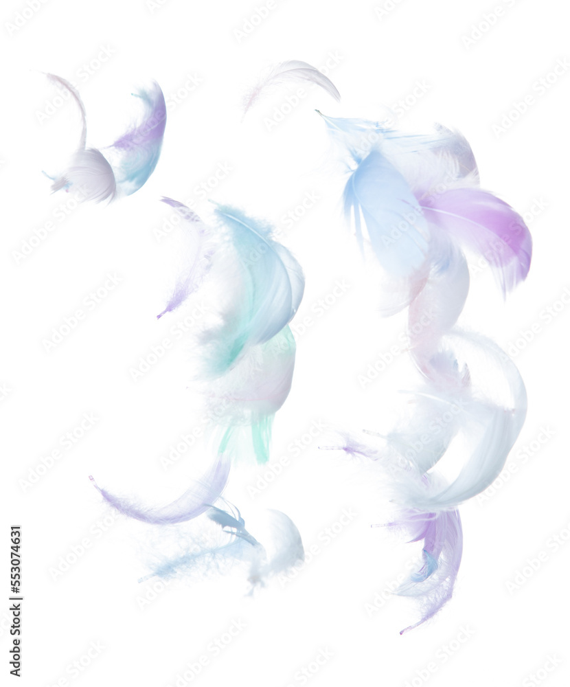 Many Pastel Feather fly fall in Air over white background isolated. Puffy Fluffy soft feathers as purity smooth like dream floating dove in sky. Angle flying from heaven, photo motion Many Pastel Feather fly fall in Air over white background isolated. Puffy Fluffy soft feathers as purity smooth like dream floating dove in sky. Angle flying from heaven, photo motion