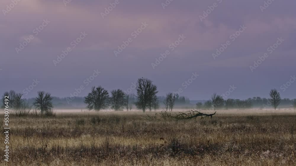 Sunrise / Sunset over a forest landscape Sunrise / Sunset over a forest landscape