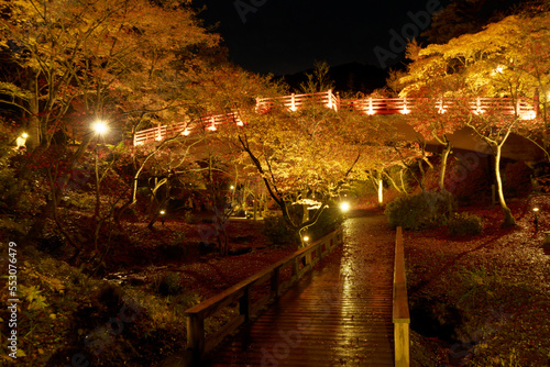 ライトアップに映える紅葉と朱塗りの橋