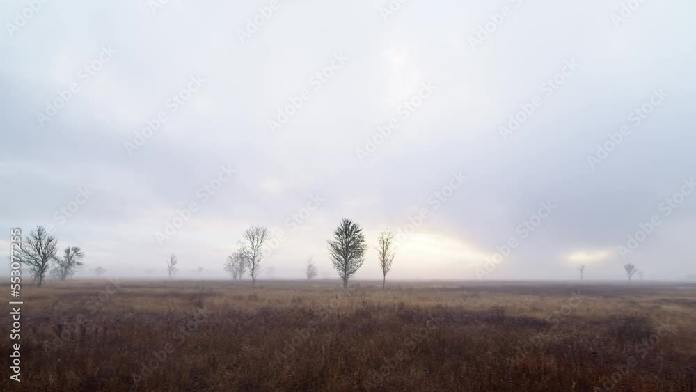 Sunrise / Sunset over a forest landscape Sunrise / Sunset over a forest landscape