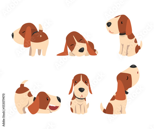 Jack Russell Terrier Dog with Cute Snout and Coat with Brown Spot in Different Pose Vector Set