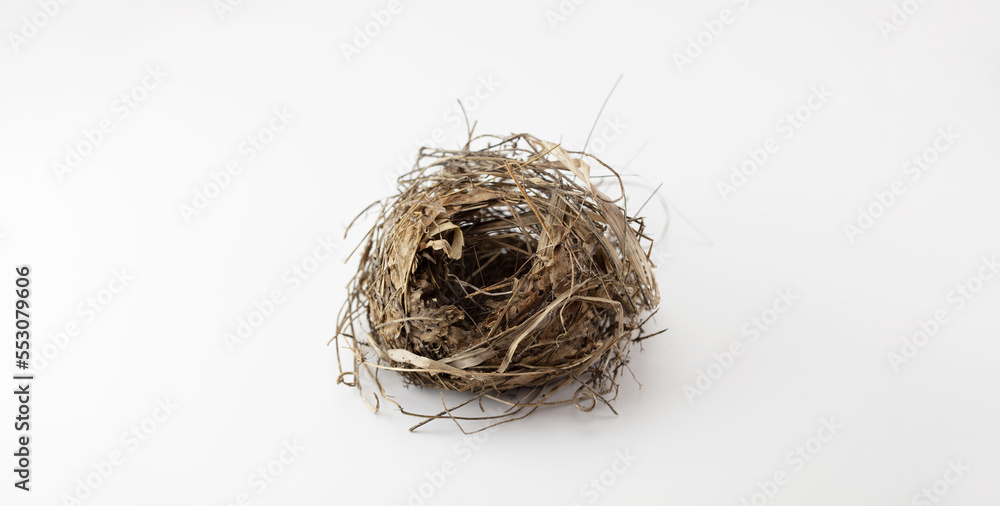 Obraz premium Shelter and care concept. A nice shaped bird nest isolated on neutral white.