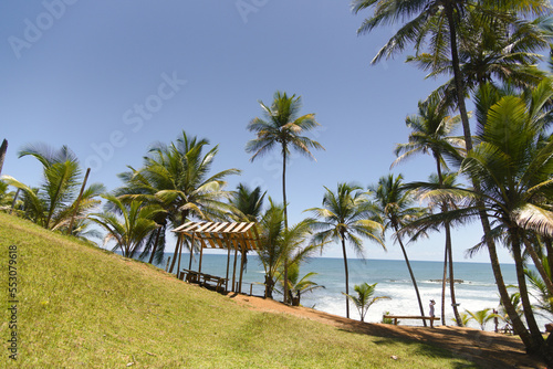 Beautiful landscape of a paradise beach with beautiful coconut trees, blue sky and clear water