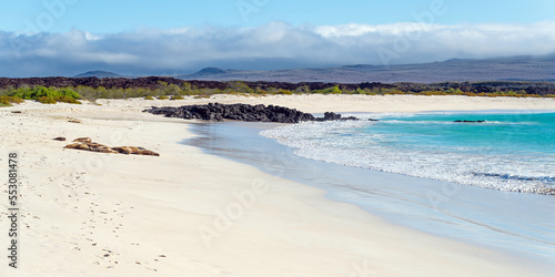 Photography Cerro Brujo (Wizard's Hill) beach with Galapagos Sea Lions (Zalophus Wollebaeki) on San Cristobal island, Galapagos national park, Ecuador