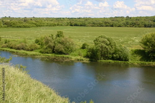 European landscape. A small river in a picturesque landscape. River bank with dense trees.