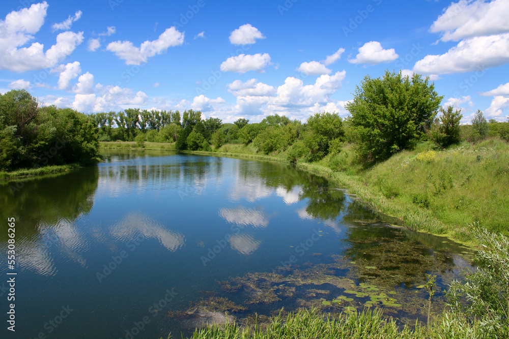 European landscape. A small river in a picturesque landscape. River bank with dense trees.