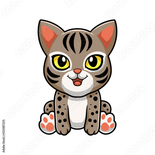 Tableau sur toile Cute ocicat cat cartoon sitting