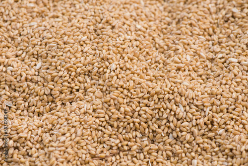 Fotografie Texture of durum wheat seeds.Compact pile of seeds grain.