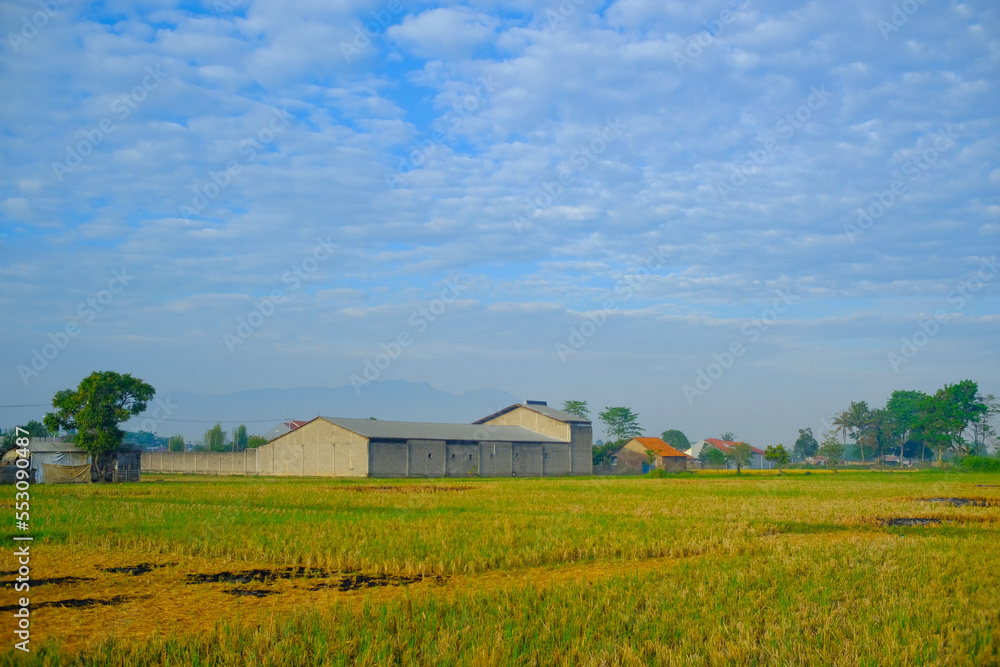Abstract Defocused Blurred Background view of rice fields which are the main commodity in the Cikancung area - Indonesia. Not Focus Abstract Defocused Blurred Background view of rice fields which are the main commodity in the Cikancung area - Indonesia. Not Focus