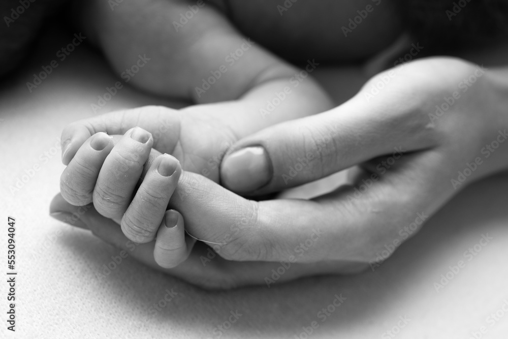 Close-up little hand of child and palm of mother and father. The newborn baby has a firm grip on the parent's finger after birth. A newborn holds on to mom's, dad's finger. Black and white photo. Close-up little hand of child and palm of mother and father. The newborn baby has a firm grip on the parent's finger after birth. A newborn holds on to mom's, dad's finger. Black and white photo.