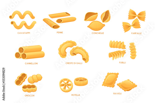 Set of Uncooked italian pasta cuisine staples vector illustration isolated on white background