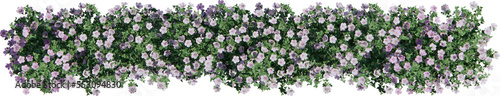 Fotografia Flower bush cutout
