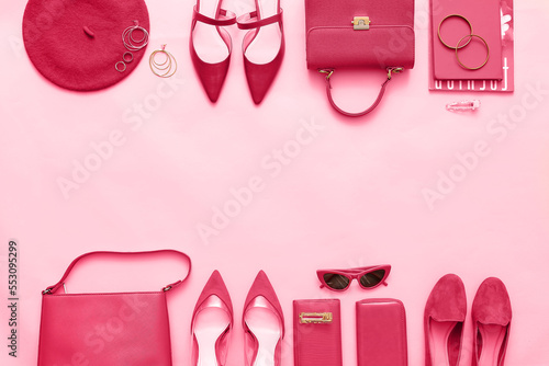 Stylish female accessories ...