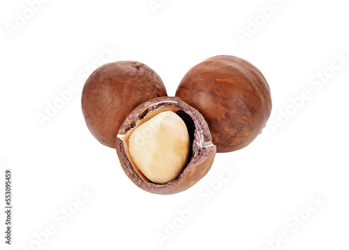 macadamia nuts isolated on transparent png photo
