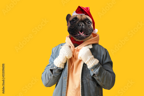 Man with head of dog wearin...
