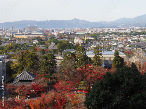 京都 永観堂 多宝塔からの景色