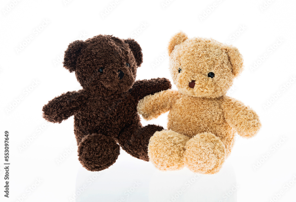 Couple of bears sitting together Couple of bears sitting together