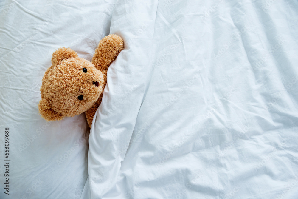 Cute teddy bear sleeping in the bed
