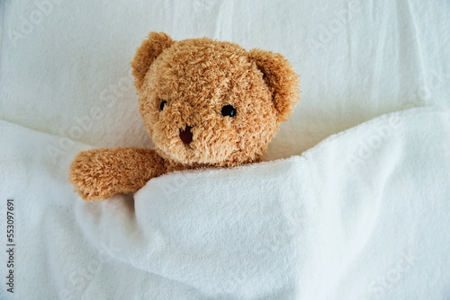Cute teddy bear sleeping in the bed