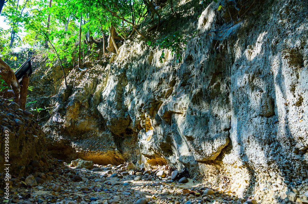 Fototapeta premium Soil layer at the nature trail in Mae Wang National Park